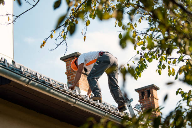 Best Roof Gutter Cleaning  in Salina, UT