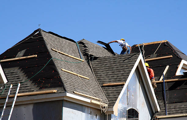 Best Metal Roofing Contractor  in Salina, UT